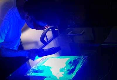 Mobile inspection light source device