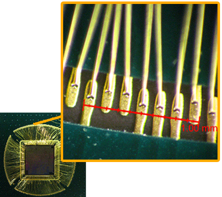 the gold wire Taken by X-Loupe product