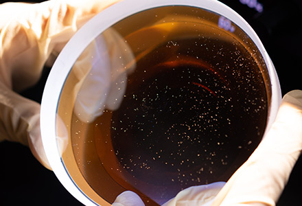 Under Collimated 4000K White will not affect exposure work